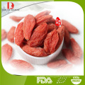 Fabricante goji al por mayor / calidad superior chino orgánico goji bayas rojas / rojo wolfberry / níspero rojo